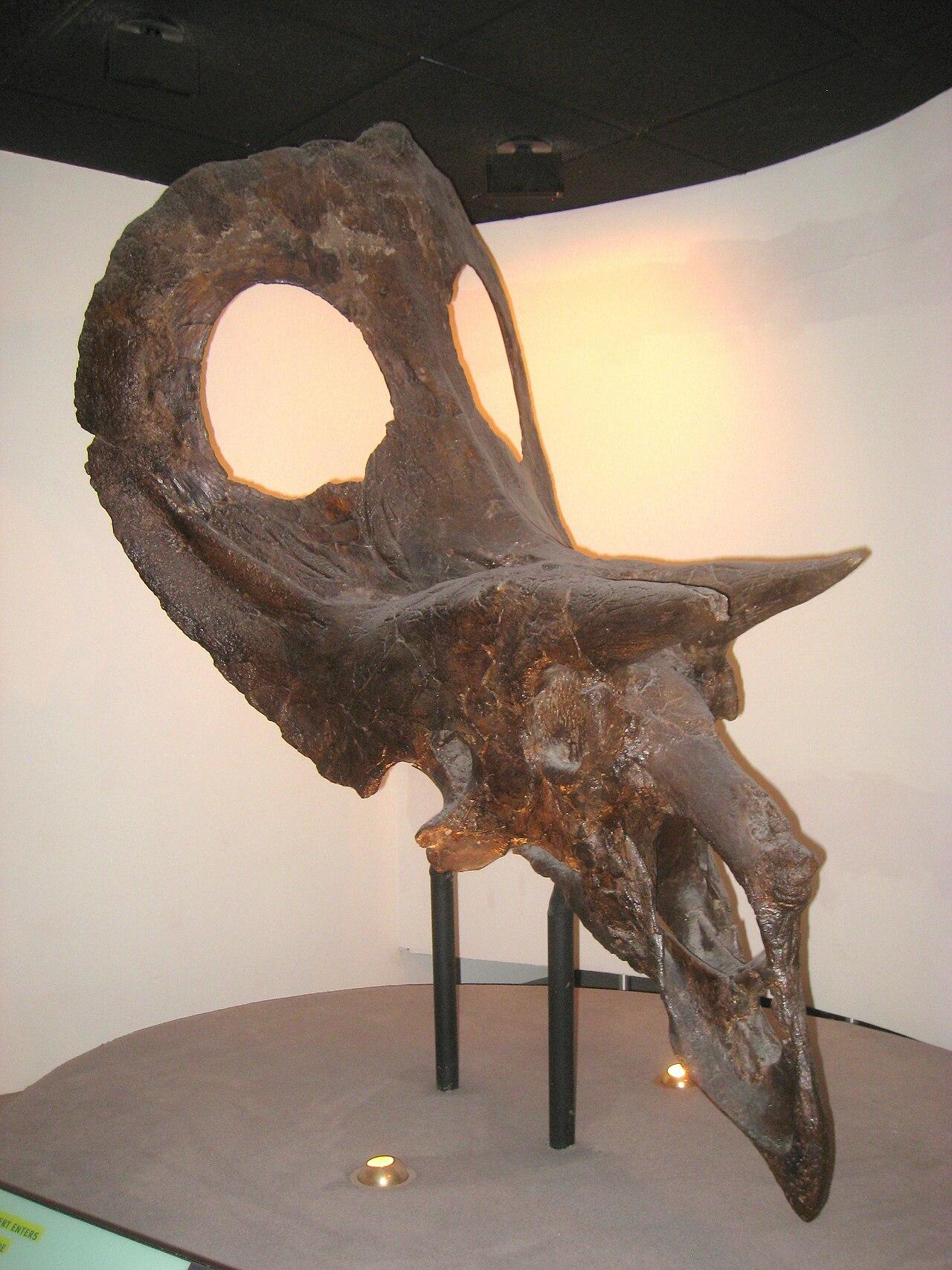 Academy of Natural Sciences of Drexel University