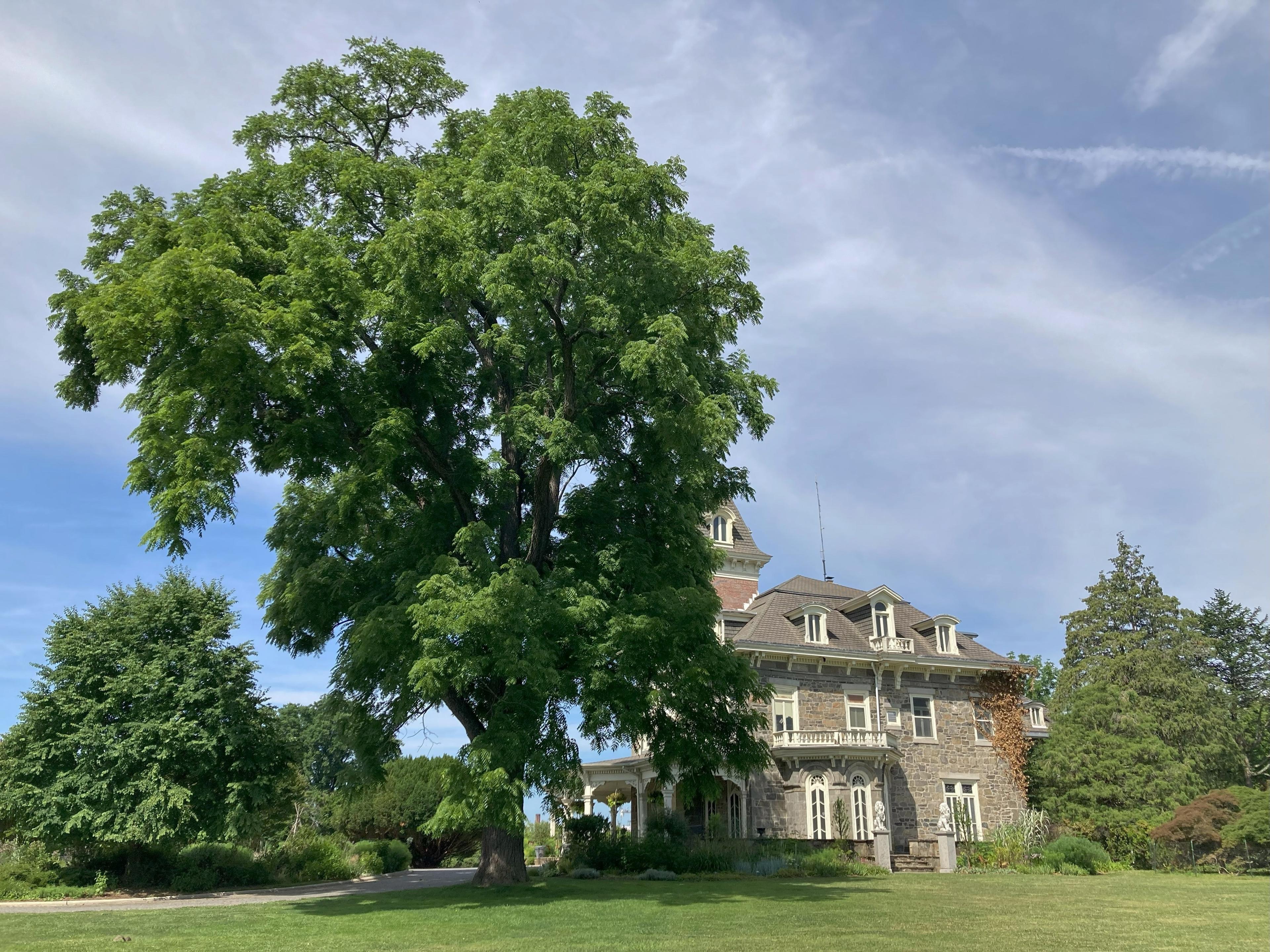 Cylburn Arboretum