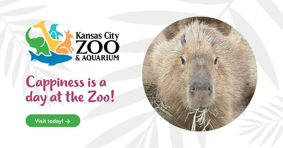 Kansas City Zoo & Aquarium