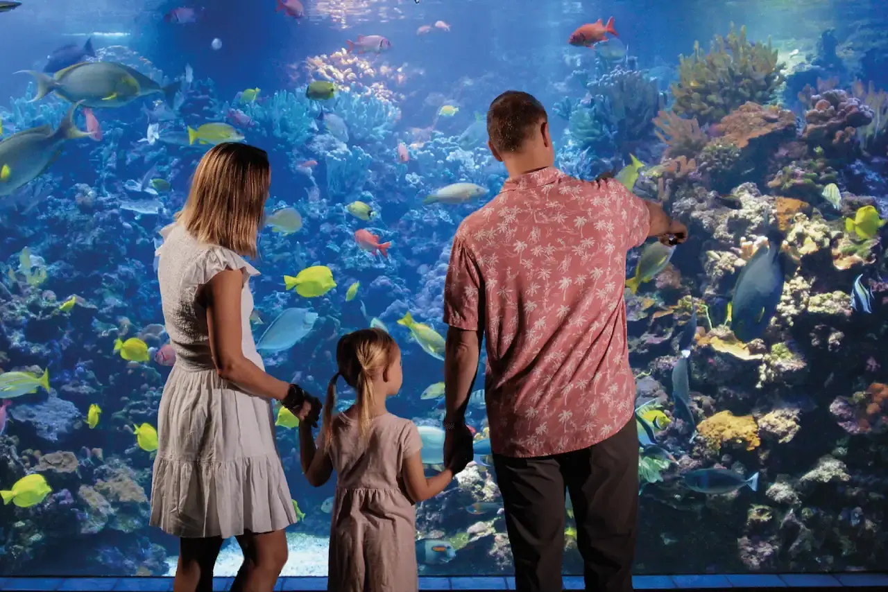 Maui Ocean Center