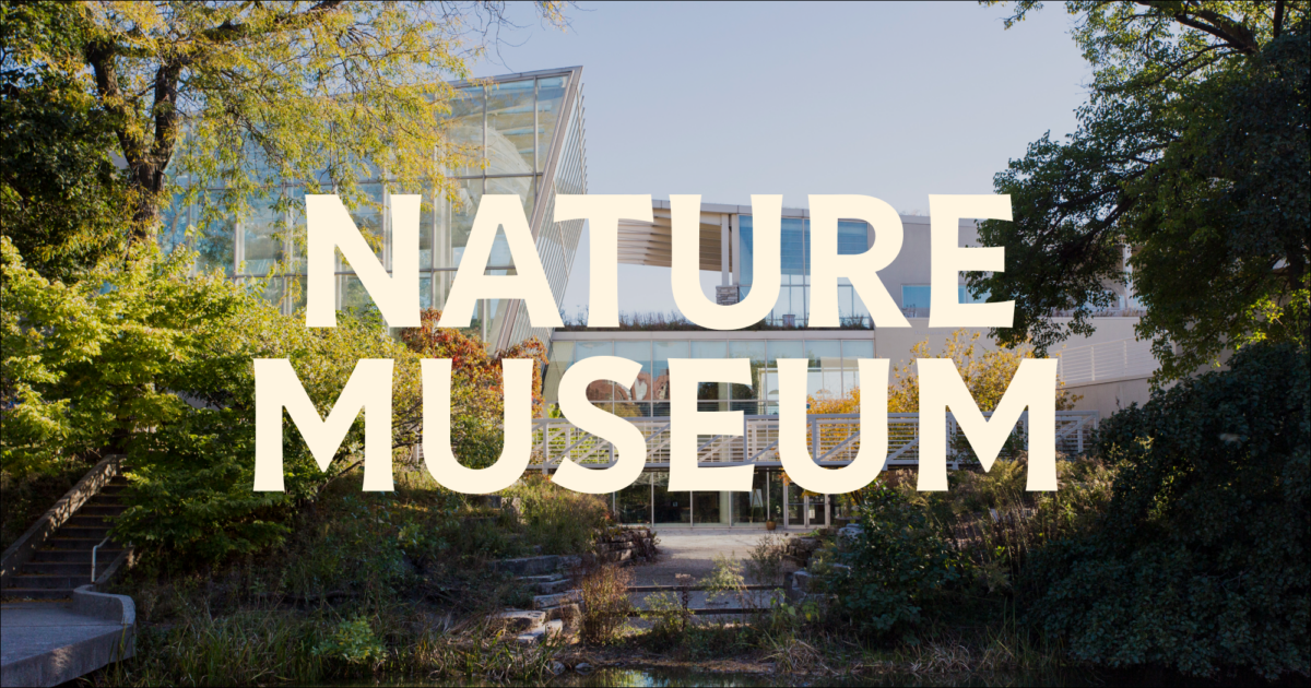 Peggy Notebaert Nature Museum