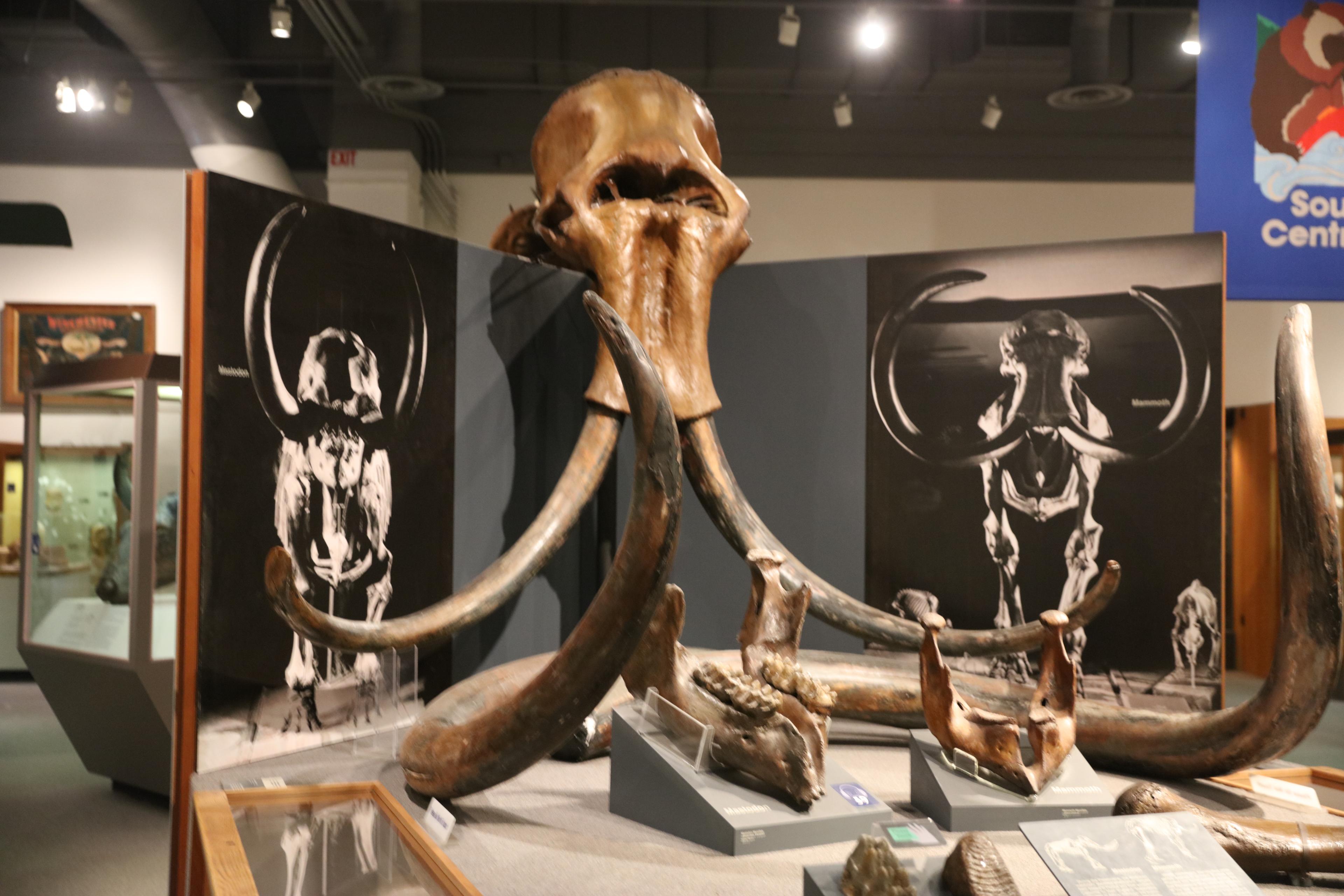 University of Alaska Museum of the North