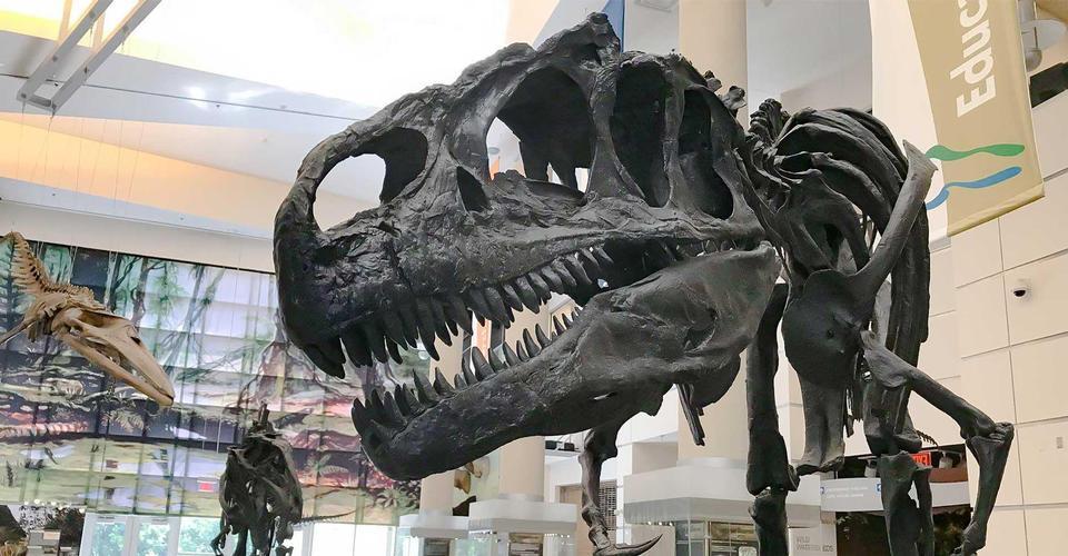 Virginia Museum of Natural History