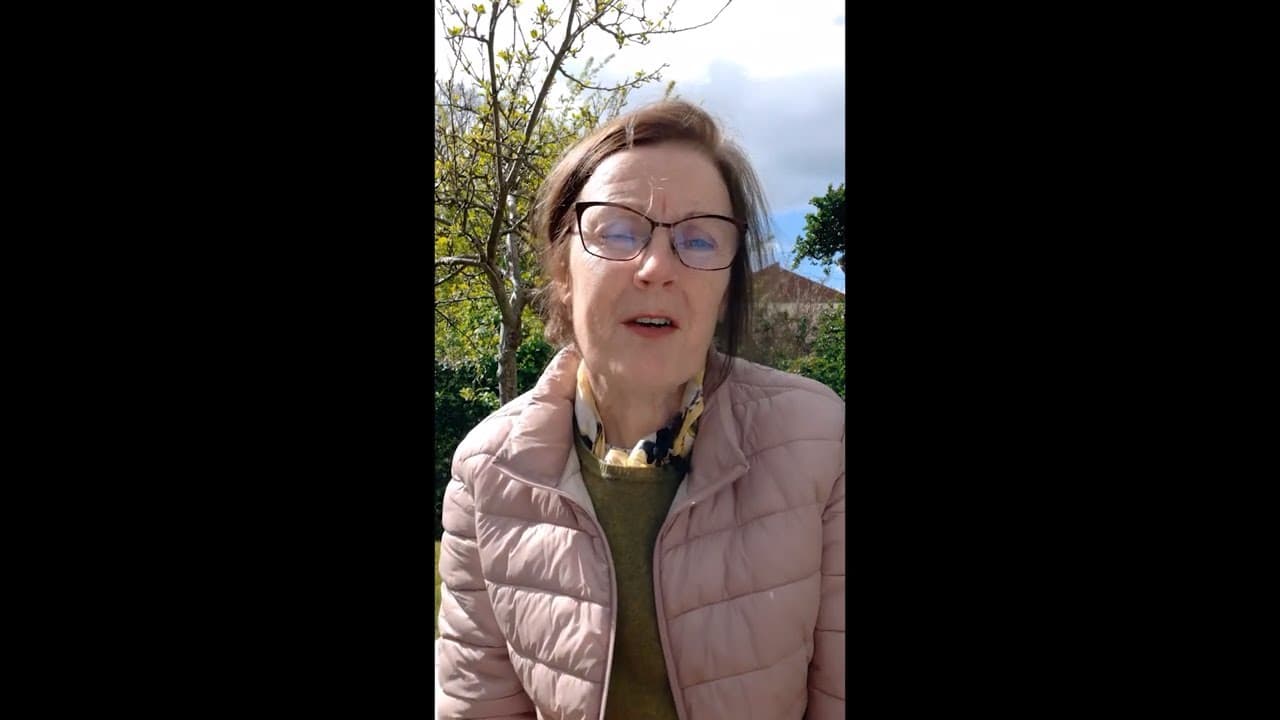 What Are Forest Schools? — Joan Whelan | TEDxCrannTreesforIreland