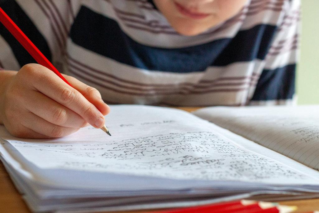 Dictation and the Education of Linguistic Sense