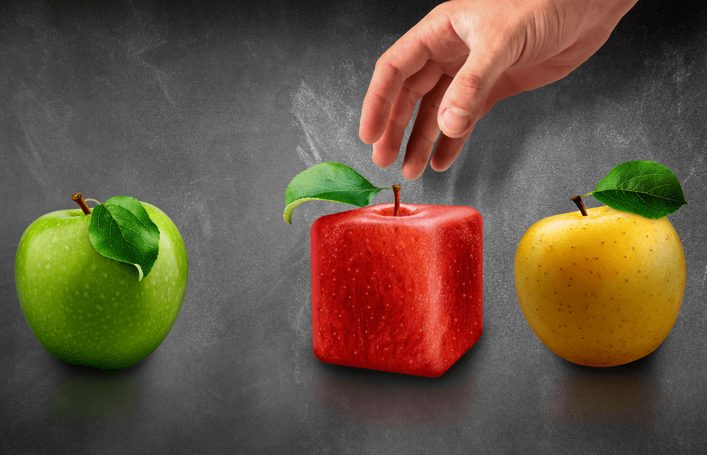 A New Crop of School Models Expands Choice